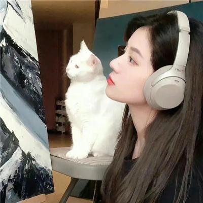 龙拳小子